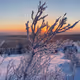 MY WINTER URALS