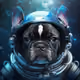 My astronaut animals