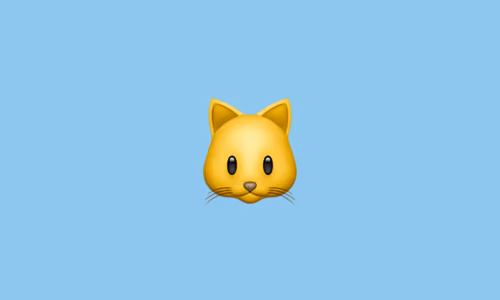 My Cat Cobweb