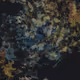 Mycelia by JMY