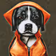 My dogs 1111