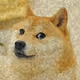 mydogeartnft