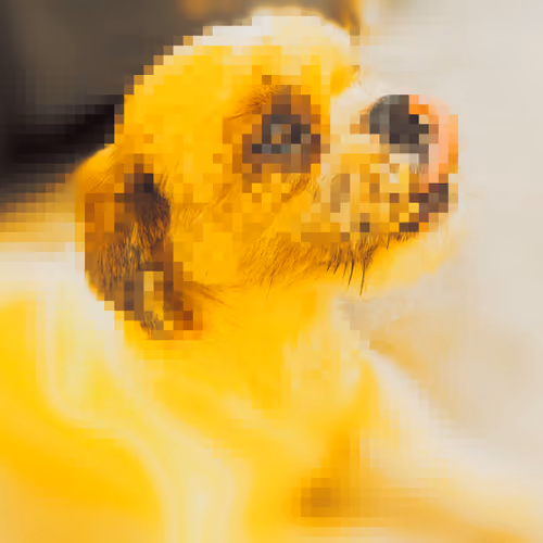 MYFRIENDDOG