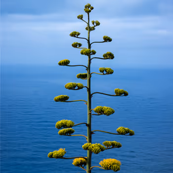 My Nature Photography - old