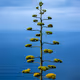 My Nature Photography - old