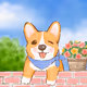 My Neighbor Corgi