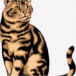 Cat_05