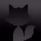 MyRaccoons