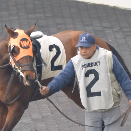 MyRaceHorse Fan