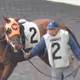 MyRaceHorse Fan