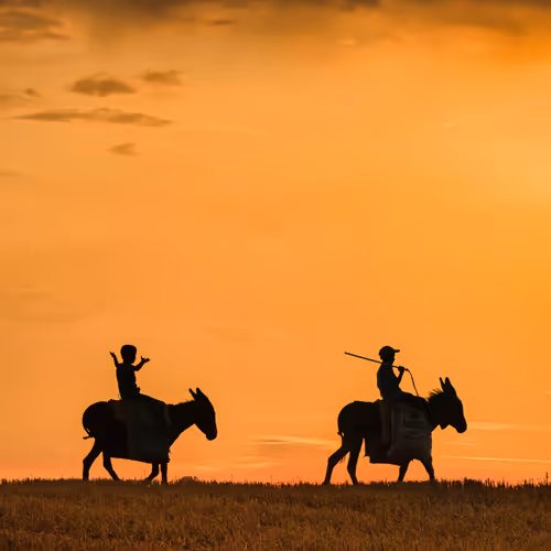 My Silhouette World - old