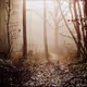 Mystery and urbex