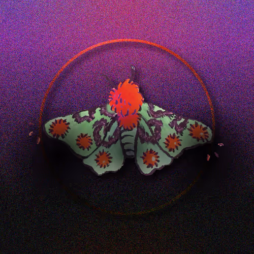 Mystery of the Night - old