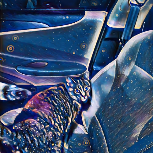 Mystic Cat in the Car