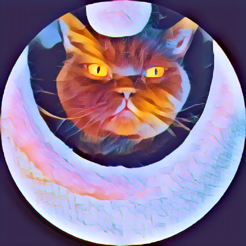 Mystic Fat Cat