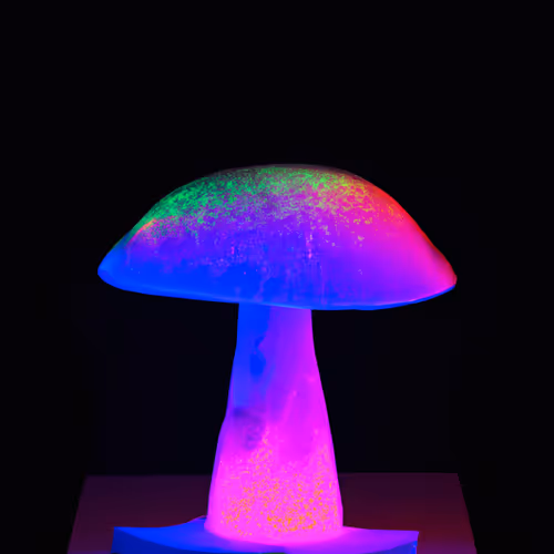 Mystical Amanita Collection