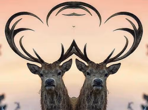 mythical deer