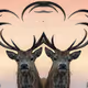 mythical deer