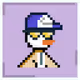 n_Pinguin Collection | Natro