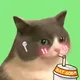 naiive cat - old