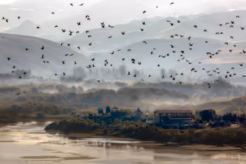 Nallihan Bird Sanctuary - old