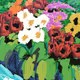 Nanda's flowers