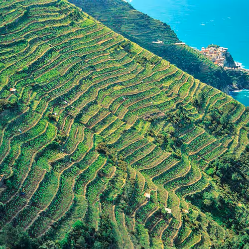 National Park Cinque Terre Official