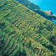National Park Cinque Terre Official