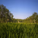Natural Beauty Art