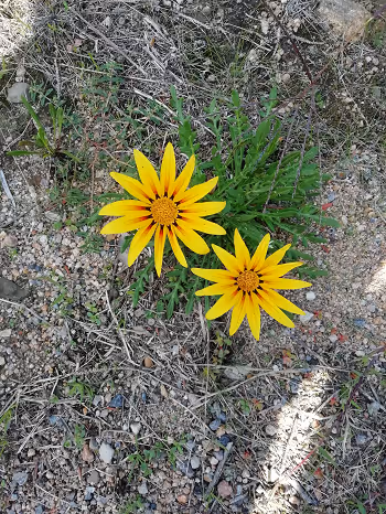 Natural Treasures and Secrets