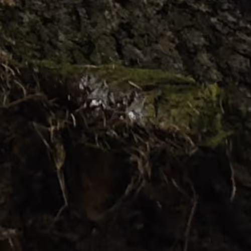 Natural wonders Collection