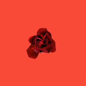 Natural Colors - old