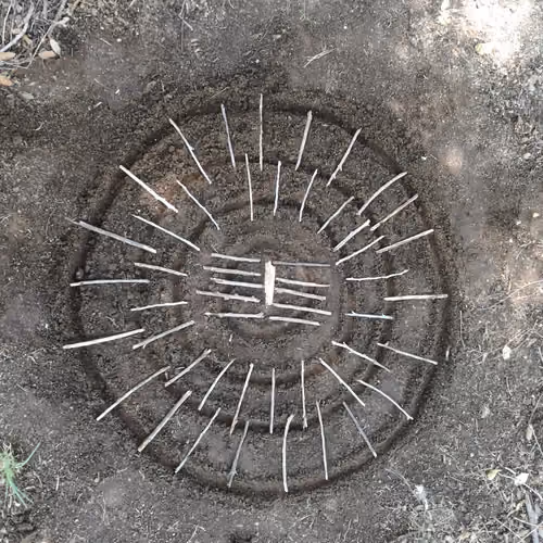 Natural Mandalas  ETC