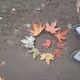 nATURE AND CITY PROJECT