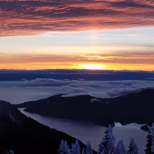 Nature Art Collection