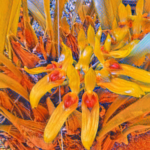 Nature Art Gig