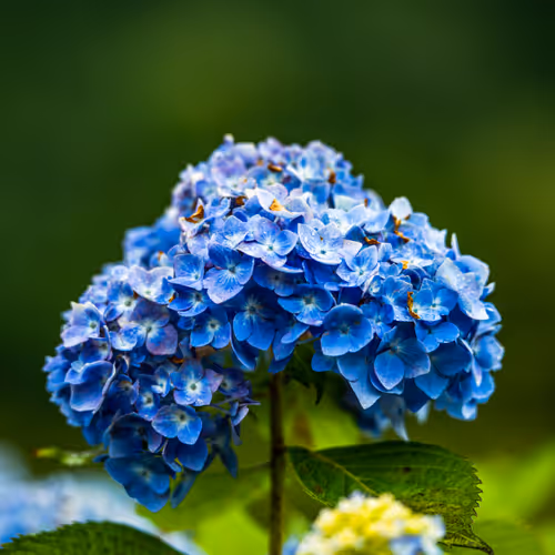 TK_Nature Art Photography