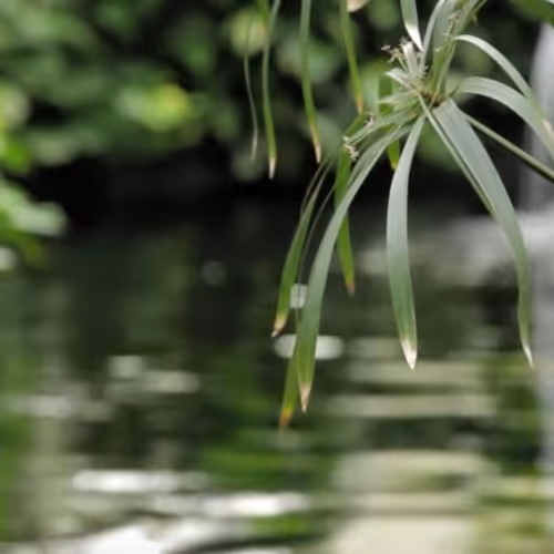 nature beautiful Portugal