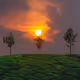 NATURE BEYOND SOLITUDE - old