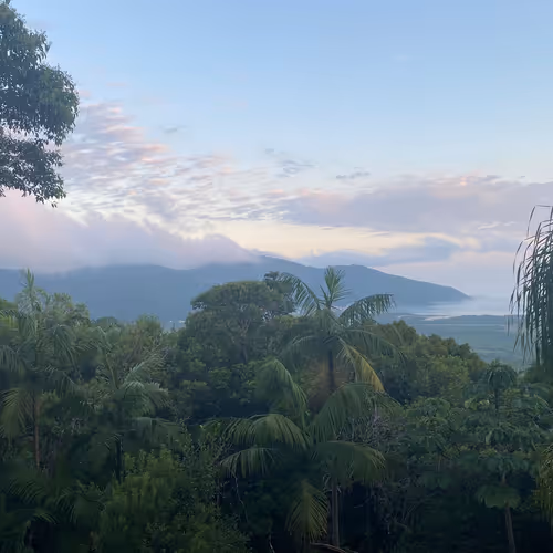 NATURE BRAZILIAN V2