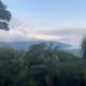 NATURE BRAZILIAN V2
