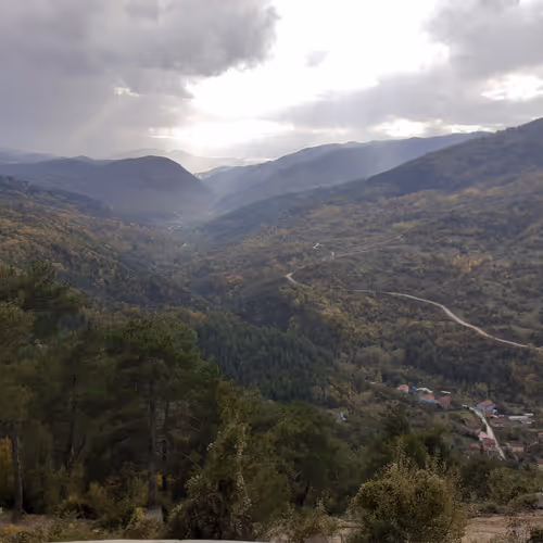 Nature but with a different eye