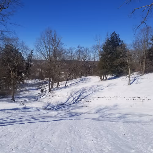 Nature By Enyanevets