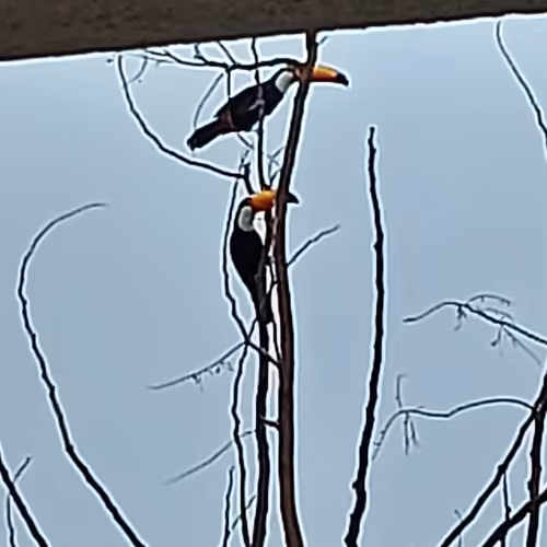 Nature daily beauties