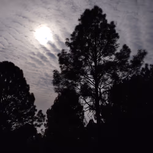 nature - FZ0FxXxsCW - old