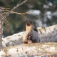 nature fix - old - old