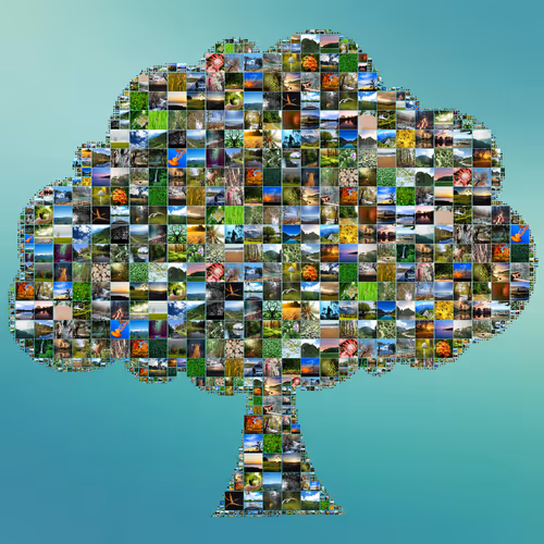 Nature Images in Shapes
