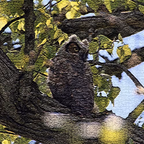 Nature in a Canvas