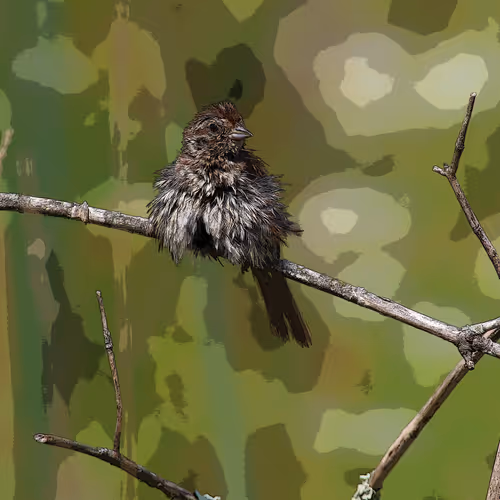Nature in a Painting