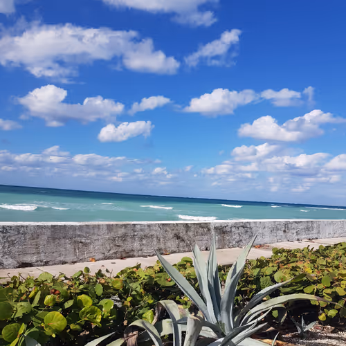 Nature in Paradise